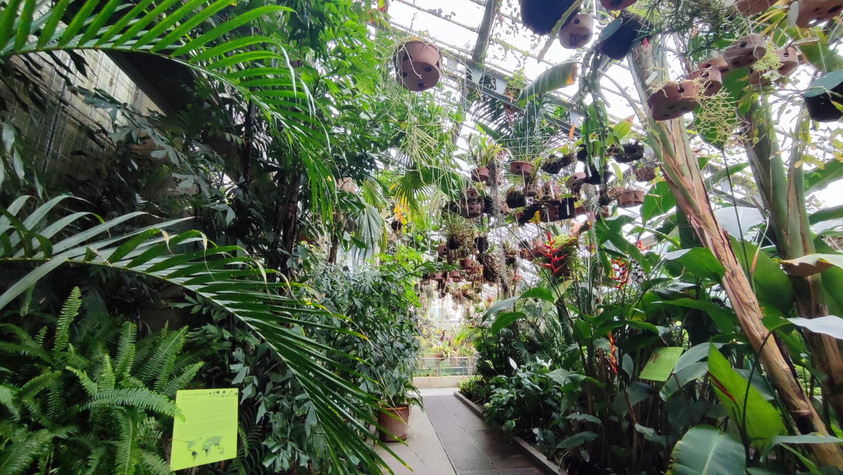 IMG-20230430-WA0096